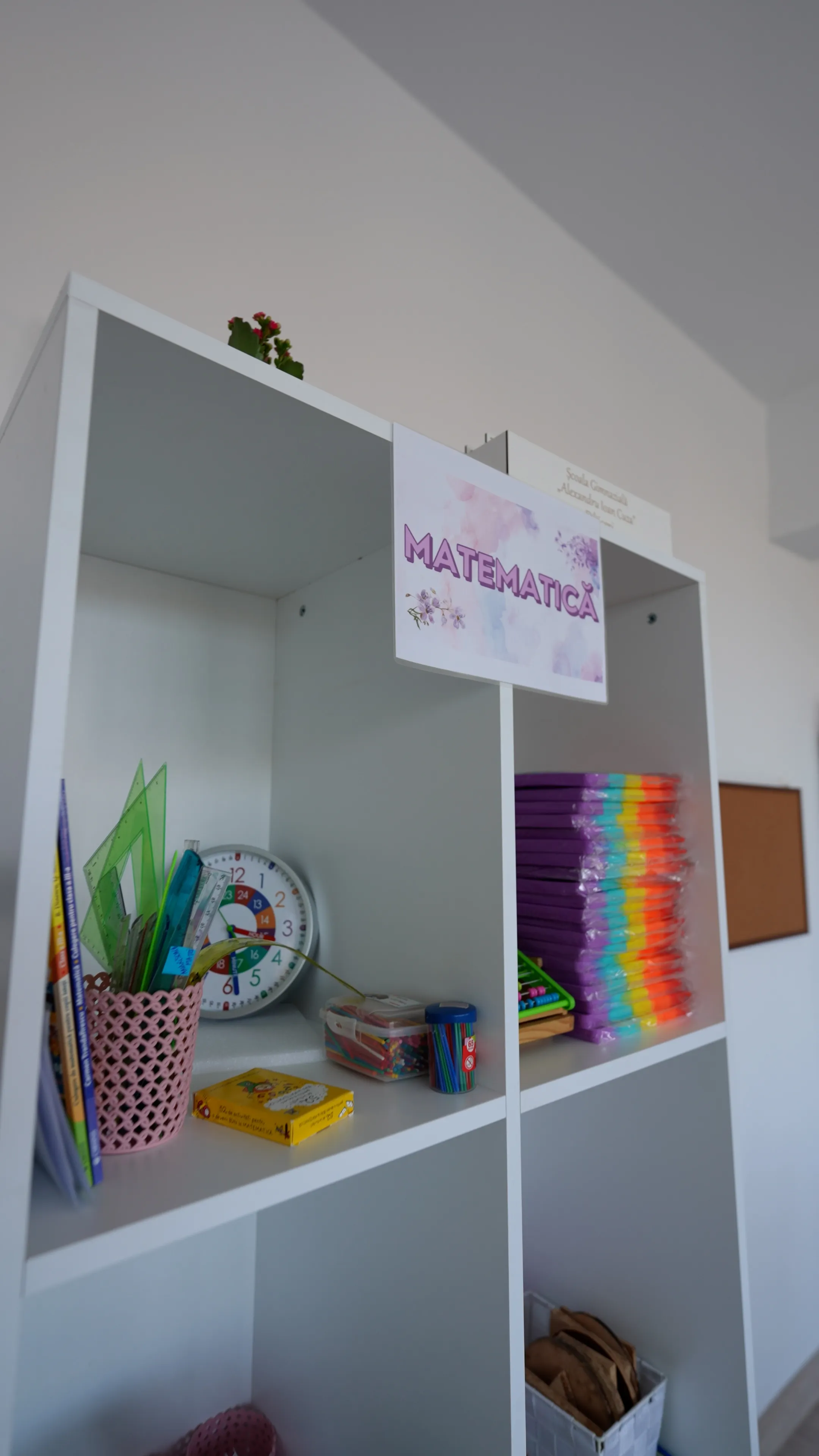 Detalii Execuție Școala Cuza Fălticeni