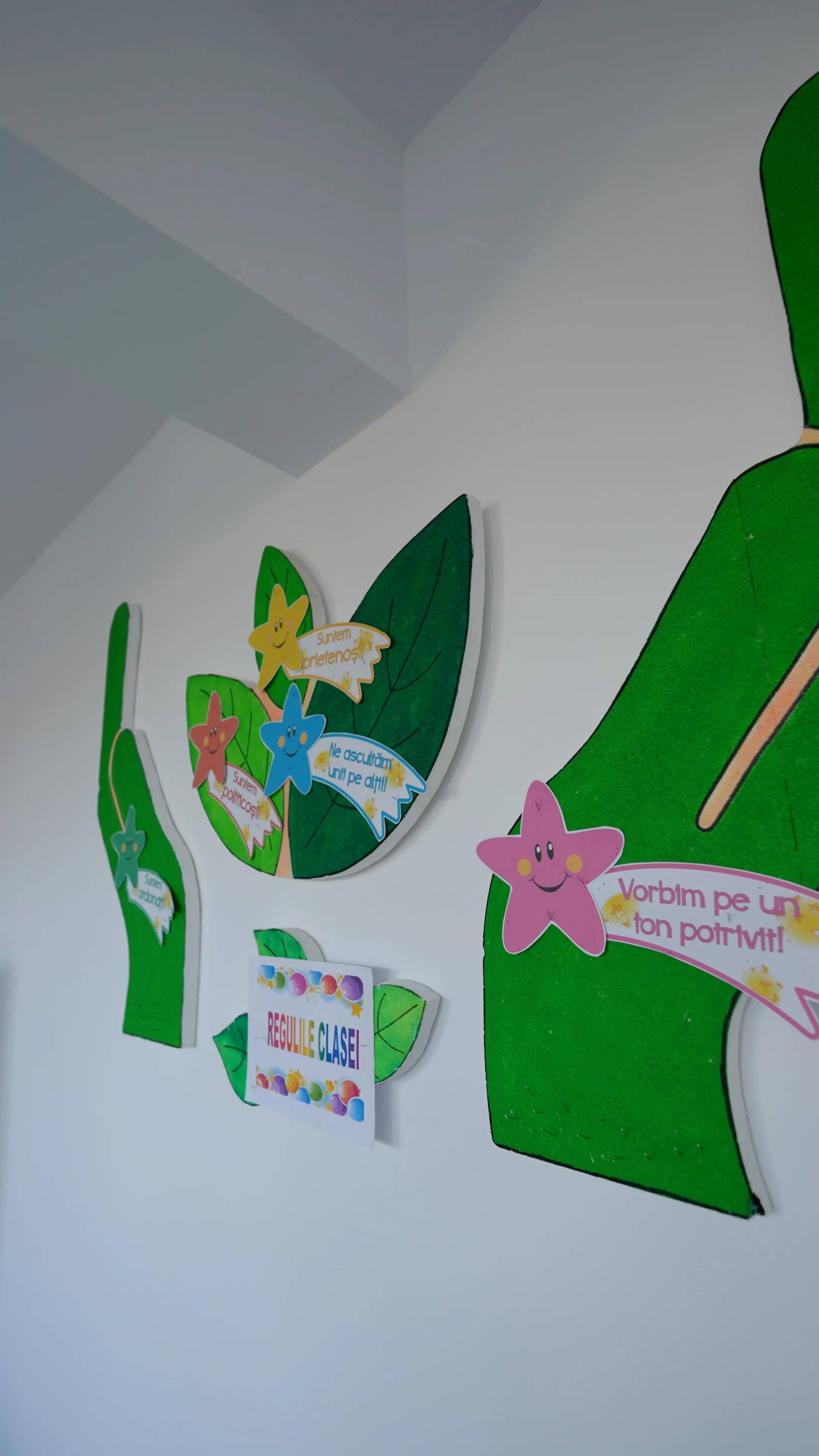 Detalii Execuție Școala Cuza Fălticeni