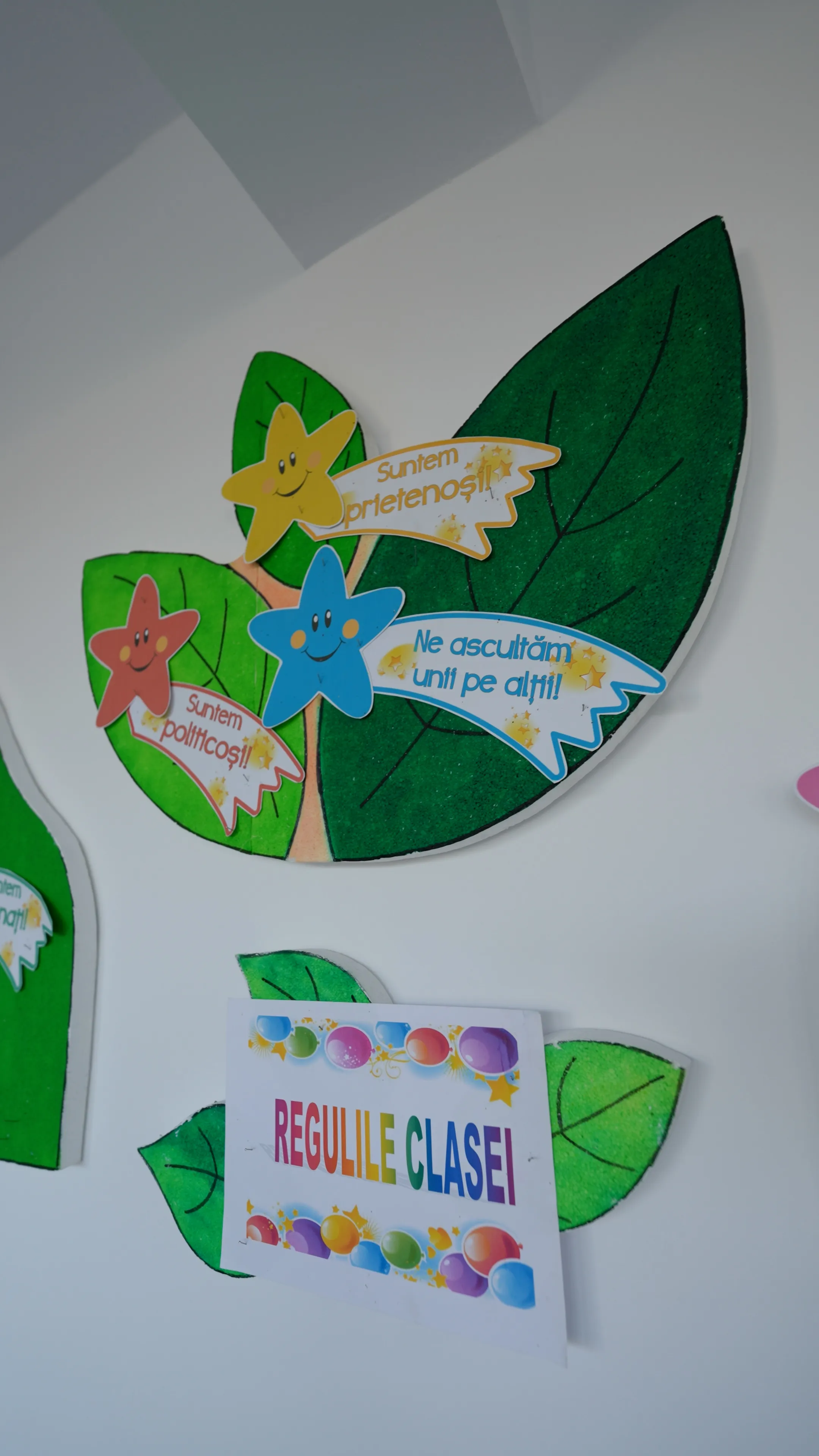 Detalii Execuție Școala Cuza Fălticeni