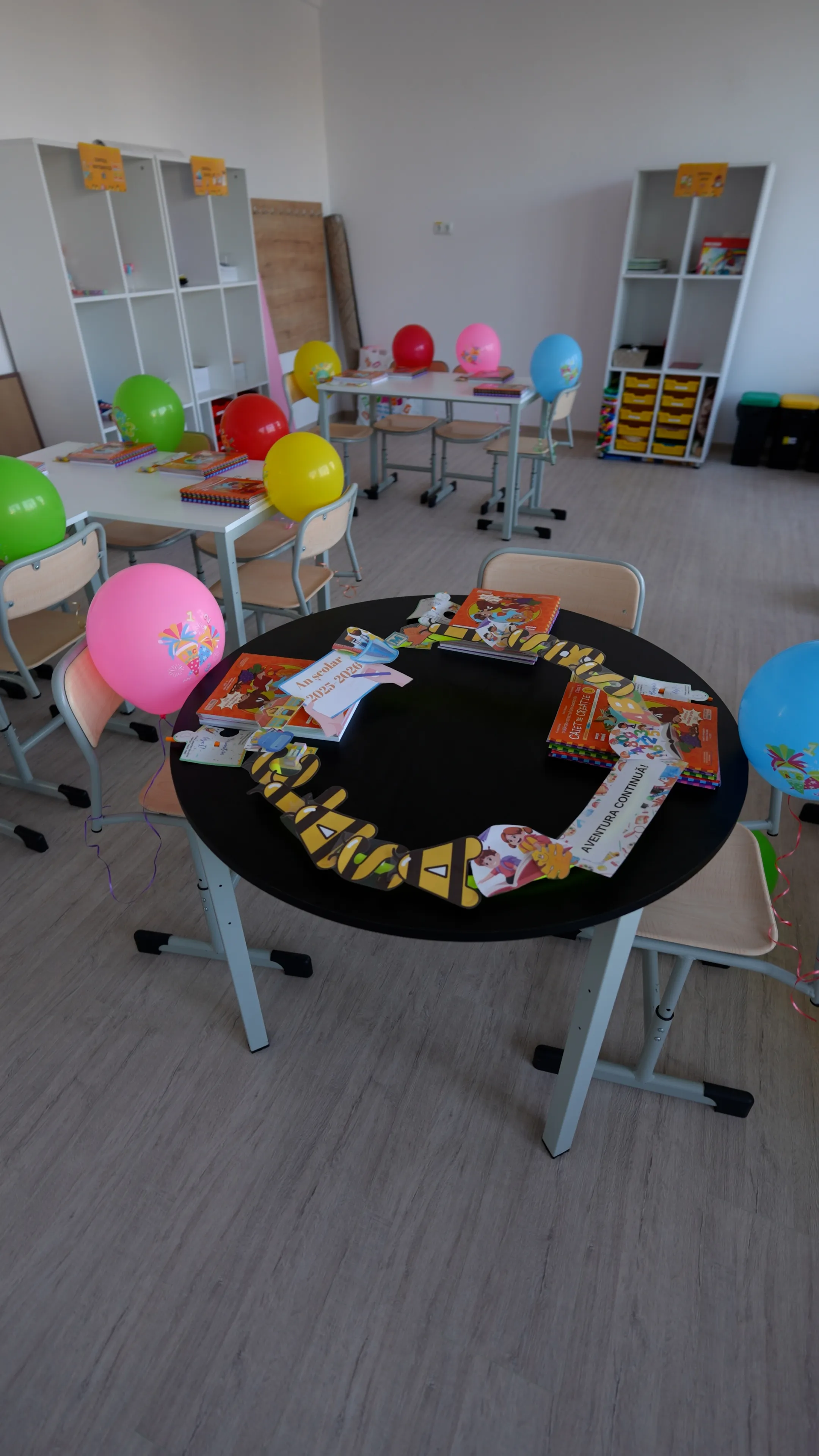 Detalii Execuție Școala Cuza Fălticeni