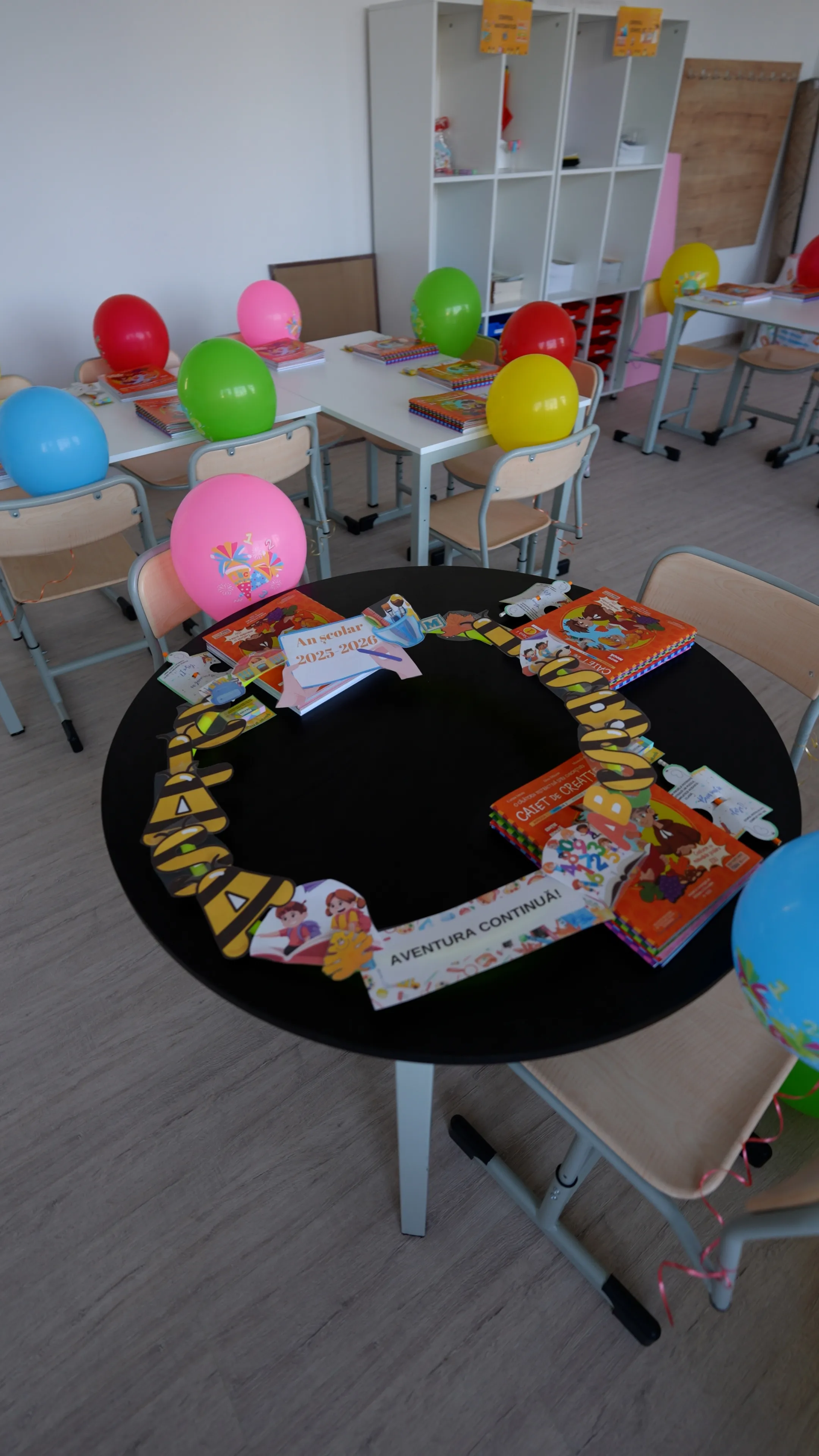 Detalii Execuție Școala Cuza Fălticeni