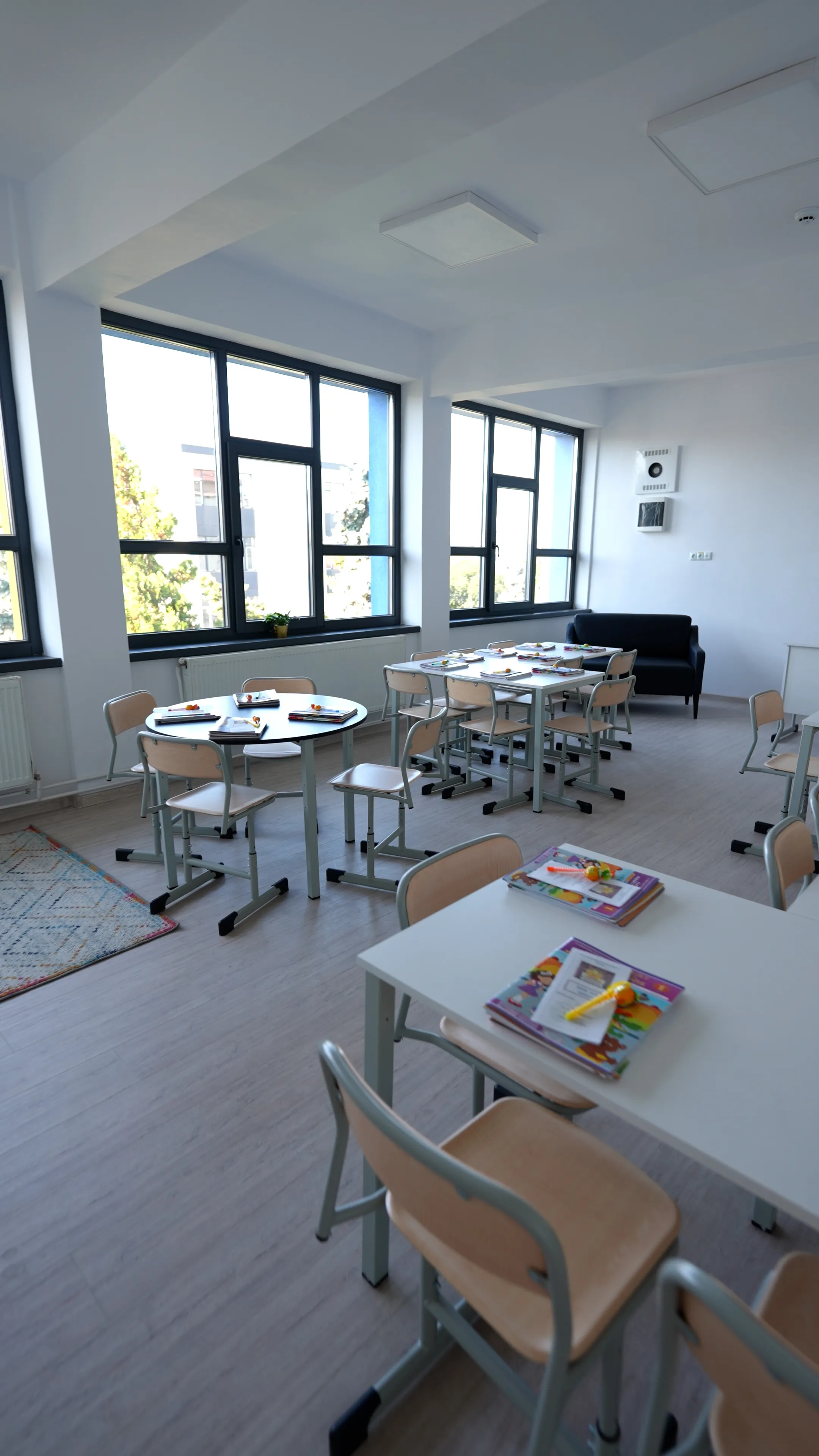 Detalii Execuție Școala Cuza Fălticeni