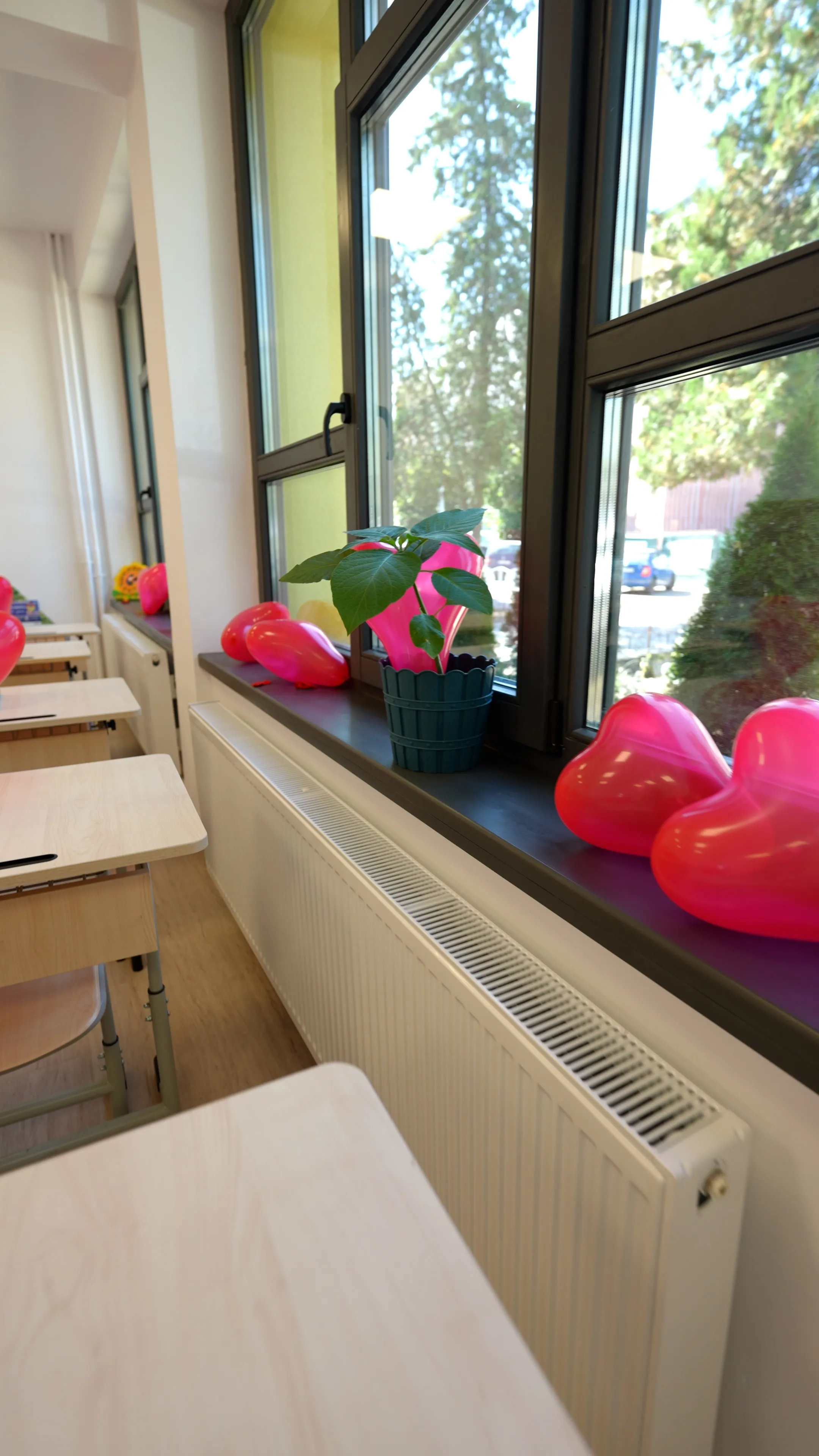 Detalii Execuție Școala Cuza Fălticeni