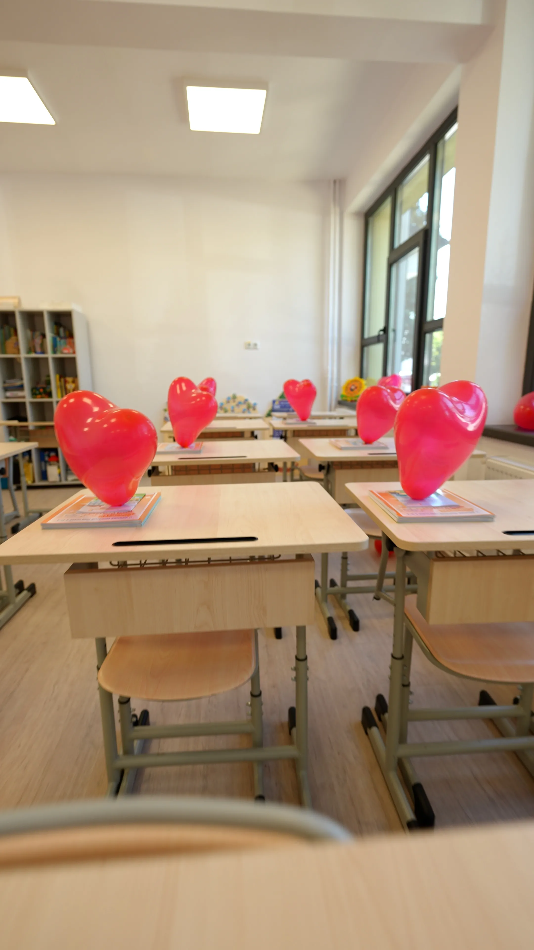 Detalii Execuție Școala Cuza Fălticeni