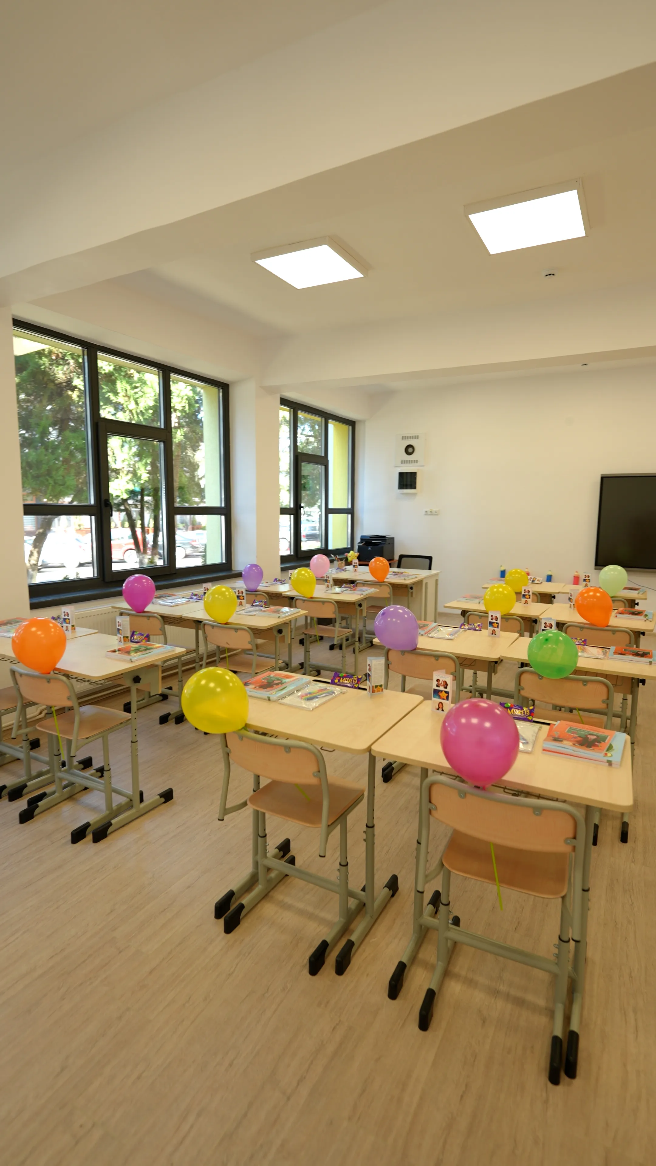 Detalii Execuție Școala Cuza Fălticeni