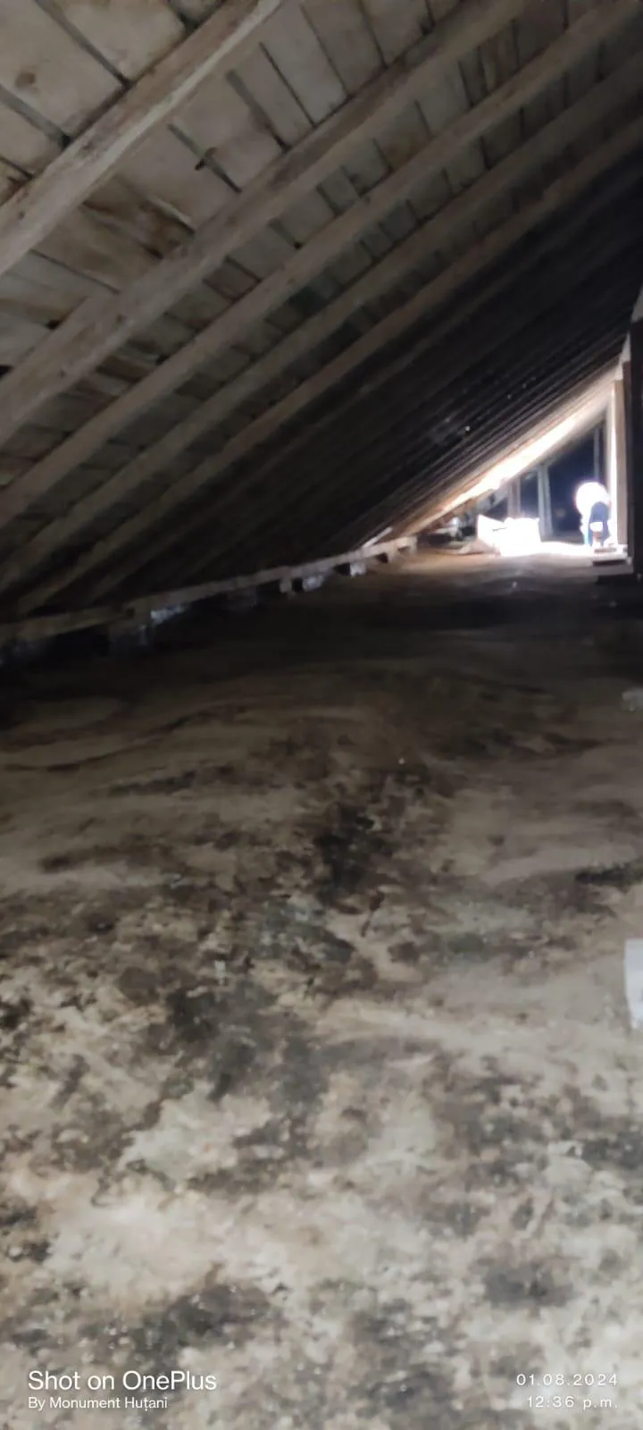 Detalii Execuție Școala Cuza Fălticeni